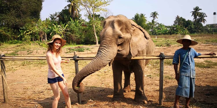 Chiang Mai – atrakcje takie jak masaże, trekking, słonie